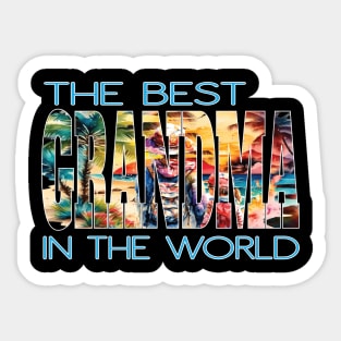 The Best Grandma In The World Abuela Grandmothers Mom Mother Sticker